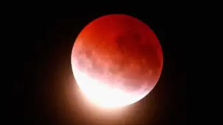 WhatsApp Image 2026-03-03 at 4.21.52 PM-vmjHpcKmzc.jpeg